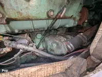 کروز فیری فروخت کے لیے