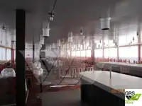 کروز جہاز فروخت کے لیے