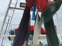 ٹراولر فروخت کے لیے