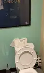 کروز فیری فروخت کے لیے