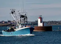 Purse seiner فروخت کے لئے