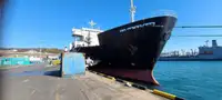 Ro-Ro ship فروخت کے لئے