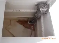 پرس سینر فروخت کے لیے