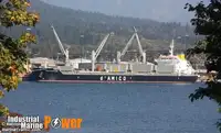 بلک کیریئر فروخت کے لئے