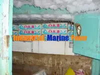 لانگ لائنر فروخت کے لیے