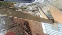 کروز جہاز فروخت کے لیے