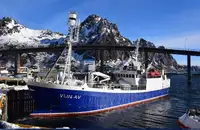 Purse seiner فروخت کے لئے