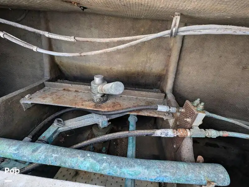 کروز فیری فروخت کے لیے