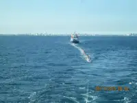 بلک کیریئر فروخت کے لیے