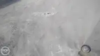 کانٹینر جہاز فروخت کے لیے
