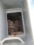 بحری جہاز فروخت کے لیے