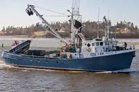 Purse seiner فروخت کے لئے
