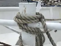 ٹراولر فروخت کے لیے