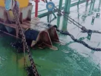 بارج فروخت کے لیے