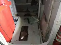 کروز جہاز فروخت کے لیے