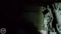 ٹراولر فروخت کے لیے