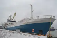 Purse seiner فروخت کے لئے