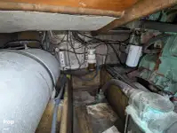 کروز فیری فروخت کے لیے