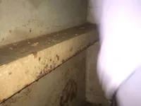 تیل/کیمیکل ٹینکر فروخت کے لیے