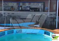 Ro-Ro ship فروخت کے لئے