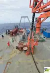 بلک کیریئر فروخت کے لئے