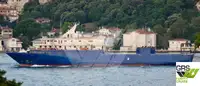 Ro-Ro ship فروخت کے لئے