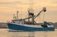 Purse seiner فروخت کے لئے