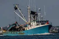 Purse seiner فروخت کے لئے