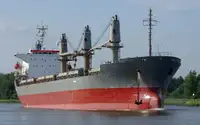 بلک کیریئر فروخت کے لئے