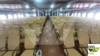 رو-رو جہاز فروخت کے لیے