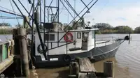 Trawler فروخت کے لئے