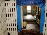 لانگ لائنر فروخت کے لیے