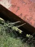 بارج فروخت کے لیے