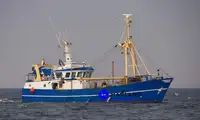 Beam trawler فروخت کے لئے