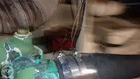 ڈائیو سپورٹ فروخت کے لیے