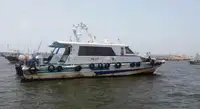 پائلٹ بوٹ فروخت کے لیے