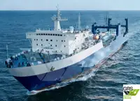 Ro-Ro ship فروخت کے لئے