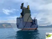Ro-Ro ship فروخت کے لئے
