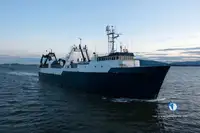 Trawler فروخت کے لئے