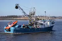 Purse seiner فروخت کے لئے