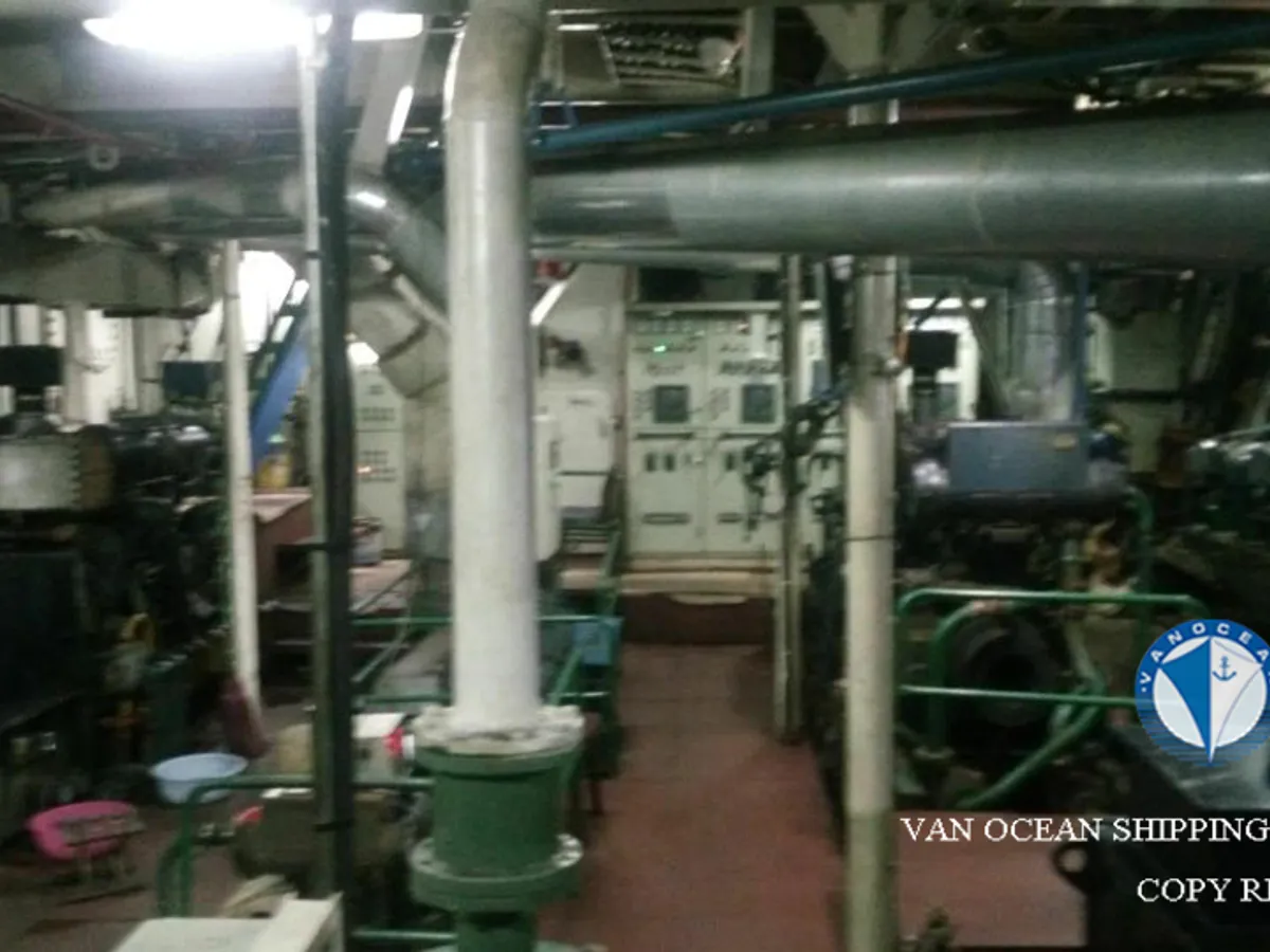 اسکویڈ جیگر فروخت کے لیے