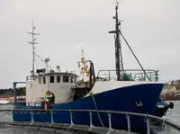 Trawler فروخت کے لئے