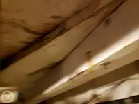بحری جہاز فروخت کے لیے