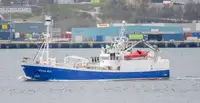Purse seiner فروخت کے لئے