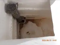 پرس سینر فروخت کے لیے