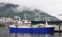 Purse seiner فروخت کے لئے