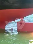 بلک کیریئر فروخت کے لیے