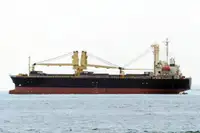 بلک کیریئر فروخت کے لئے