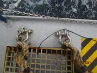 ریفریگر شیپ فروخت کے لیے
