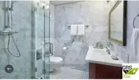 کروز جہاز فروخت کے لیے